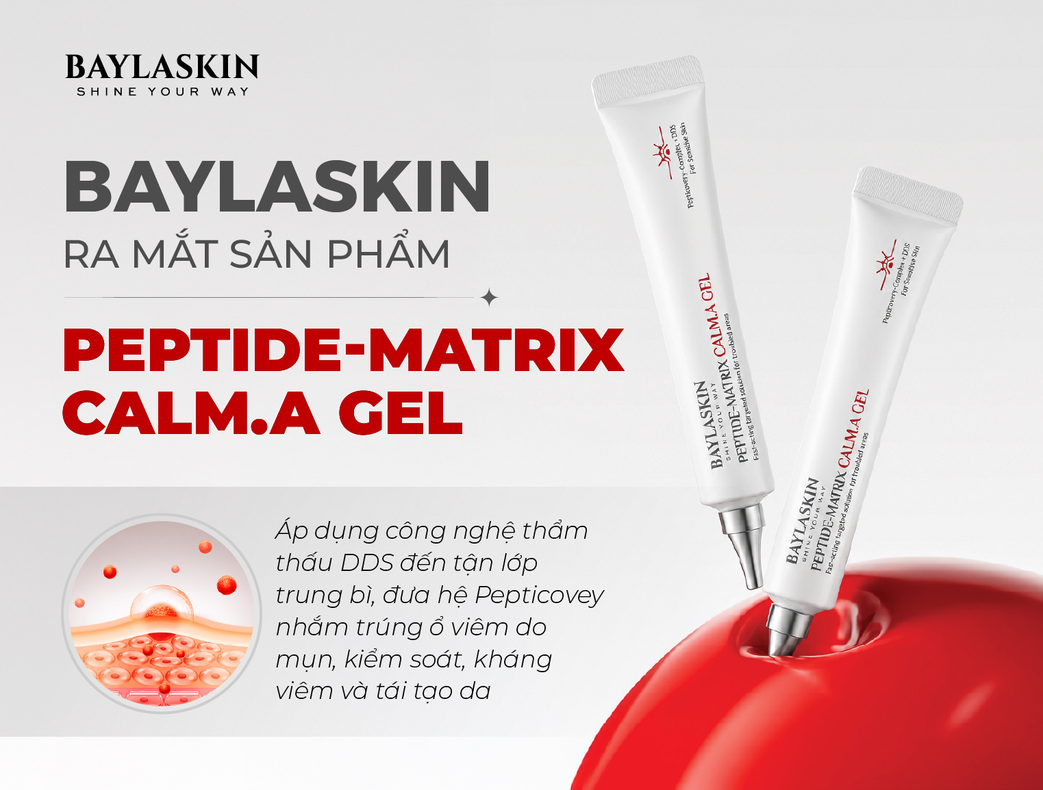 Gel chấm mụn PEPTIDE-MATRIX CALM.A GEL – Giải pháp giúp se cồi, giảm viêm và hỗ trợ ngừa thâm sau mụn
