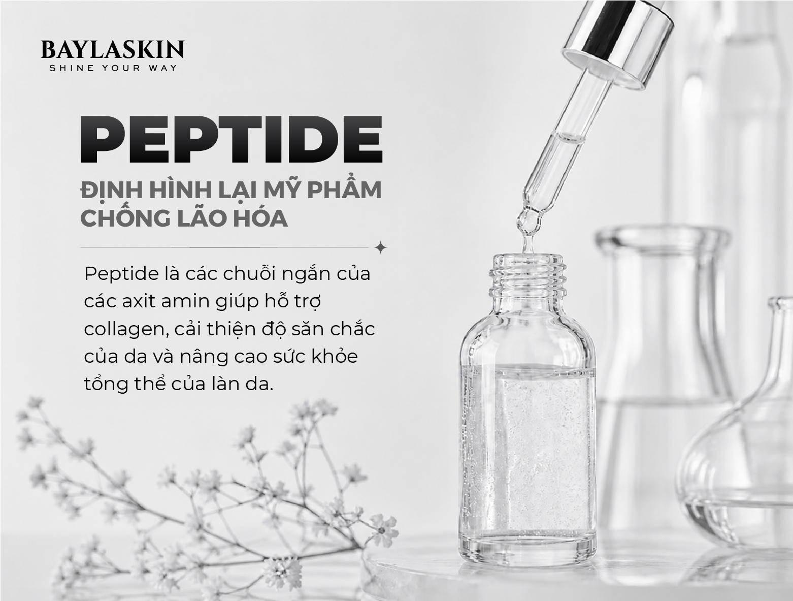 Peptide Trong Mỹ Phẩm: Hoạt Chất Định Hình Xu Hướng Chống Lão Hóa Hiện Đại