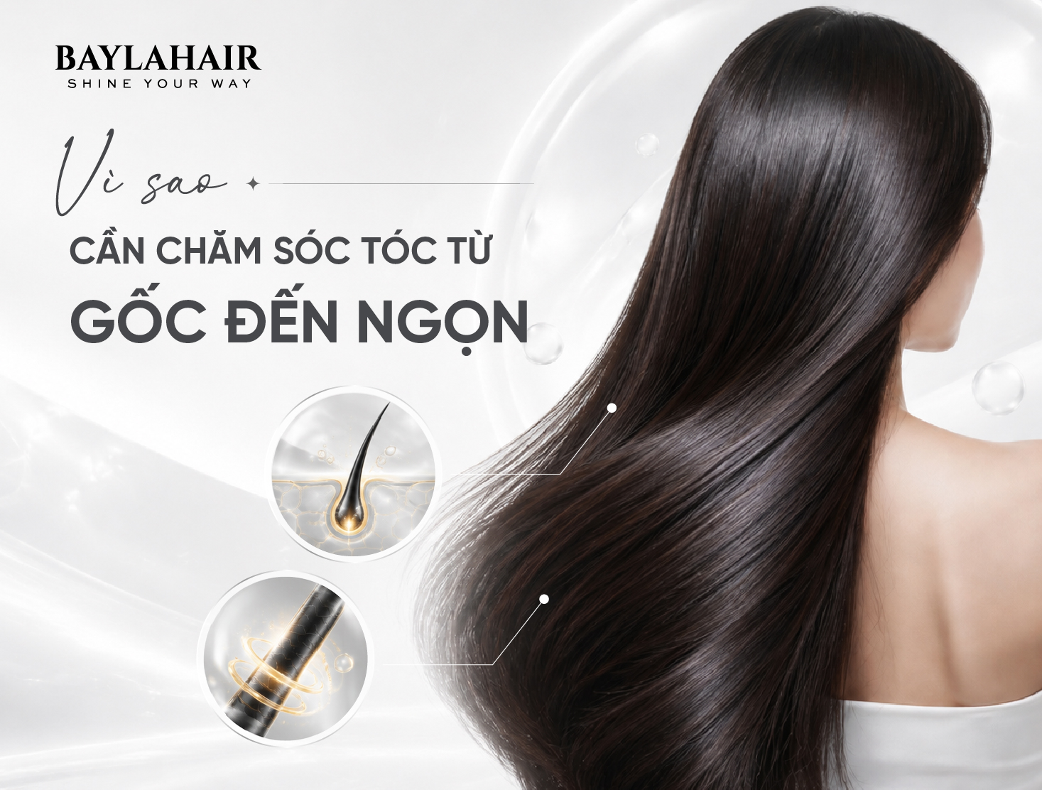 Baylahair – Chăm sóc tóc từ gốc đến ngọn theo tư duy Root to Tip